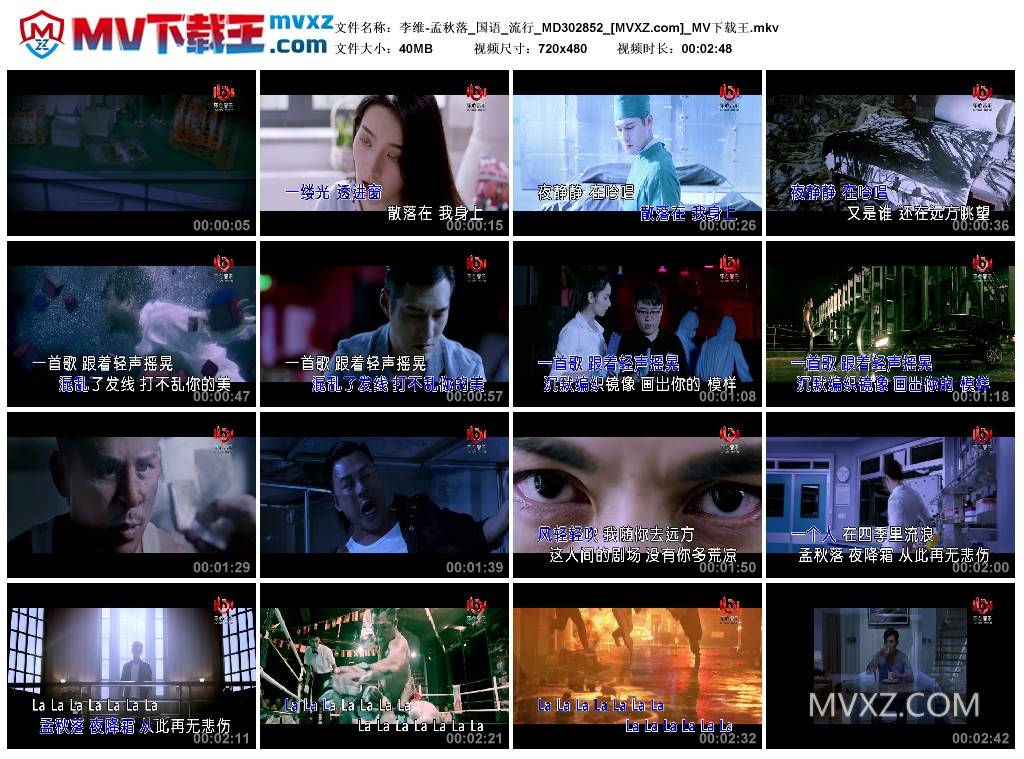 李维-孟秋落_国语_流行_MD302852